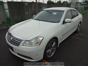 Used 2006 NISSAN FUGA BF677028 for Sale