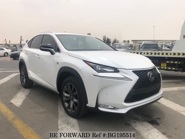 レクサス　ベア　Fスポーツ レクサス ベア Fスポーツ