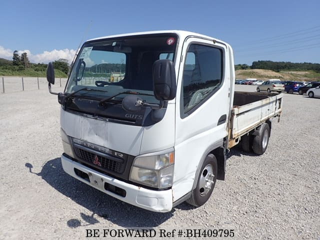 Mitsubishi canter guts