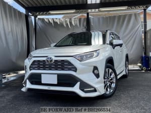 Used 2019 TOYOTA RAV4 BH266534 for Sale