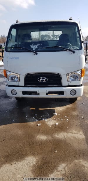 Used 2019 HYUNDAI CARGO BH788630 for Sale