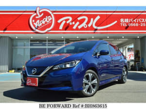 Used 2018 NISSAN LEAF BH863615 for Sale