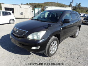 Used 2004 TOYOTA HARRIER BK493894 for Sale