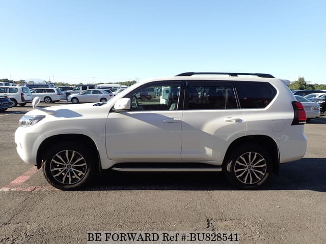 lifewithplants 　LAND CRUISER PRADO lifewithplants LAND CRUISER PRADO Toyota Landcruiser ZX Vs