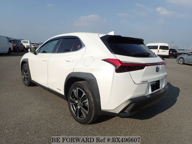 Used 2019 LEXUS UX HYBRID UX250H VERSION L/6AA-MZAH10 for