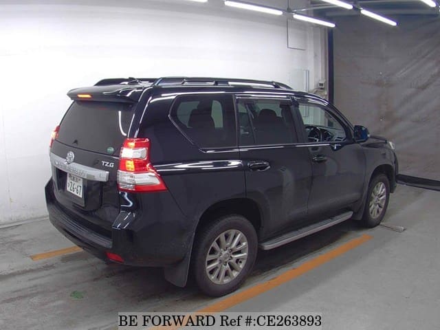 Toyota LAND CRUISER PRADO TZ-G — фото 2