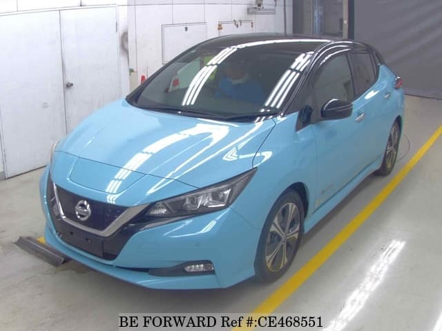 Nissan LEAF X 100 THOUSAND ANNIVERSARY CAR — фото 1