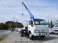 ISUZU Elf Truck