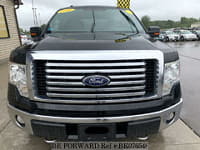 2010 FORD F150 4WD