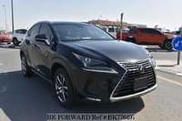 2020 LEXUS NX 300