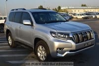 2019 TOYOTA LAND CRUISER PRADO