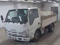Used 2010 ISUZU ELF TRUCK BM183705 for Sale for Sale