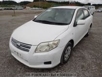 Used 2006 TOYOTA COROLLA AXIO BM222819 for Sale for Sale