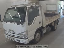 Used 2008 ISUZU ELF TRUCK BM314092 for Sale for Sale