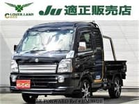 2018 SUZUKI CARRY TRUCK 660X34WD