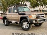 2019 TOYOTA LAND CRUISER