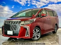 2019 TOYOTA ALPHARD S C PACKAGE