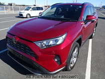 Used 2019 TOYOTA RAV4 BN124977 for Sale for Sale