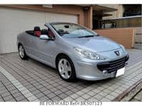 2007 PEUGEOT 307