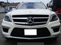 2014 AMG AMG OTHERS GL634WD