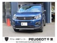 PEUGEOT Peugoet Others