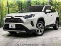 2019 TOYOTA RAV4 G