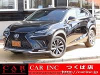 2018 LEXUS NX