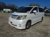 Used 2007 TOYOTA ALPHARD BR501550 for Sale