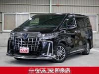 2019 TOYOTA ALPHARD HYBRID