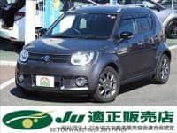 2019 SUZUKI IGNIS