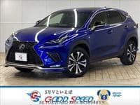 2017 LEXUS NX F