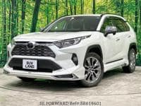 2019 TOYOTA RAV4 GZ