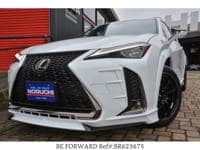 2020 LEXUS UX F