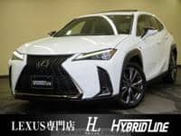 2019 LEXUS LEXUS OTHERS