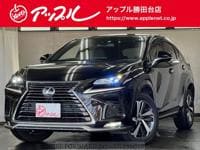 2020 LEXUS NX