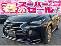 2014 LEXUS NX