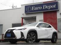 2019 LEXUS LEXUS OTHERS