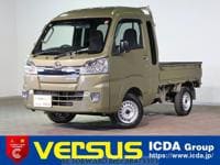 2019 DAIHATSU HIJET TRUCK