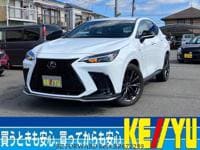 Used 2023 LEXUS NX BR672299 for Sale