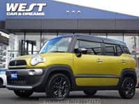 2019 SUZUKI X BEE