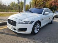 2019 JAGUAR XF / SUN ROOF,SMART KEY,BACK CAMERA