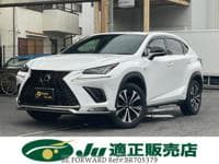 2019 LEXUS NX