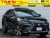 2021 LEXUS NX