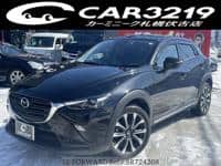 2019 MAZDA CX-3