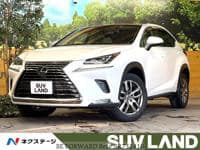 2019 LEXUS NX NX300L