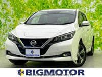 2019 NISSAN LEAF