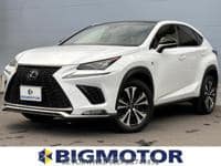 2018 LEXUS NX