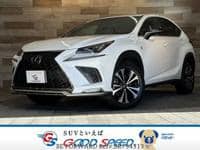 2018 LEXUS NX F