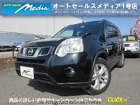 2010 NISSAN X-TRAIL