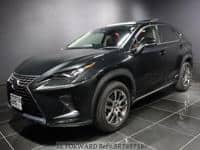 2019 LEXUS NX